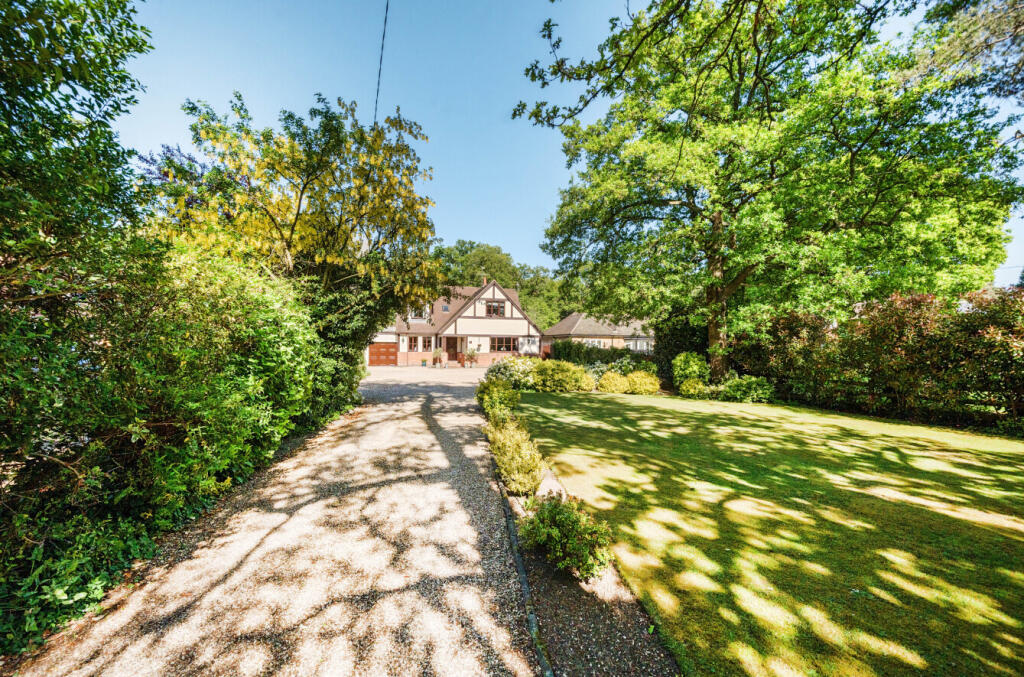 45-681e1a4f6719f-...