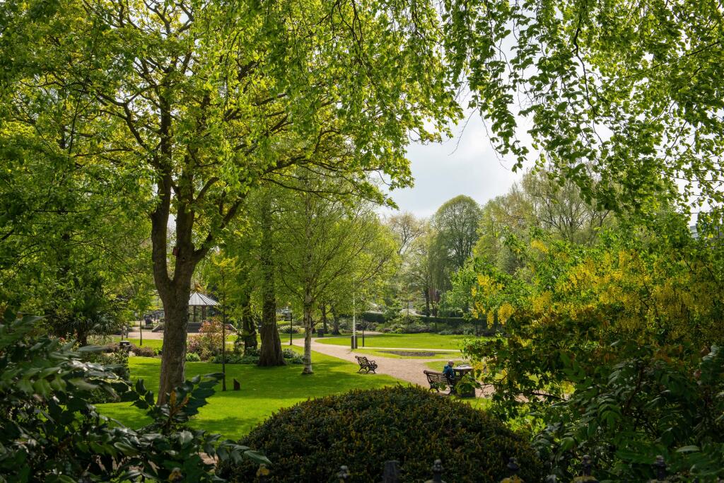 The Lapwings Local Area 1