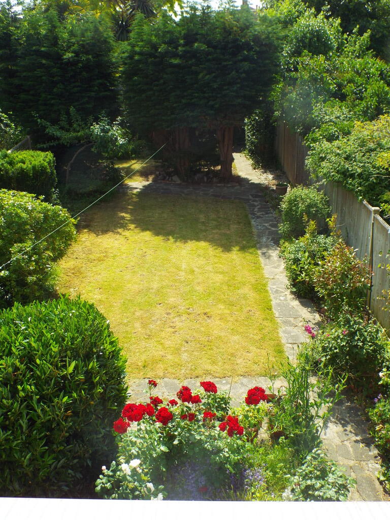 Garden (6)