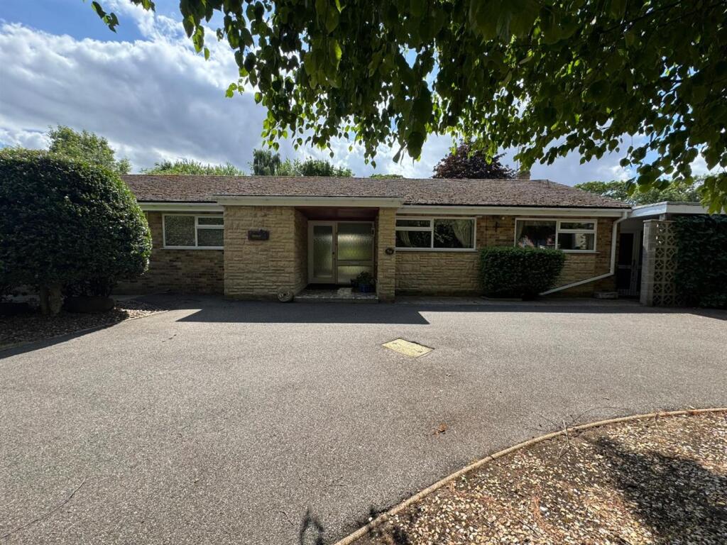 WhatsApp Image 2025-07-09 at 15.25.54.jpeg