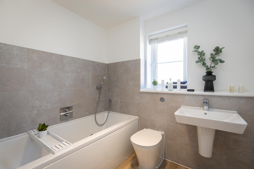 BVISWDSTALJUNIPER (7)