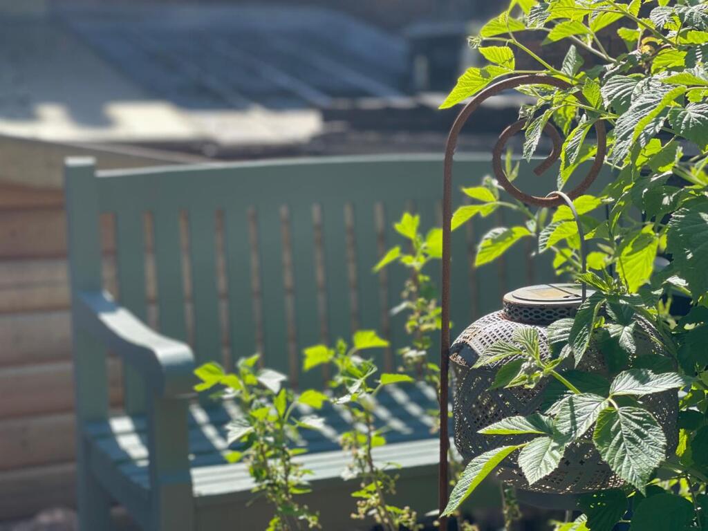 Outside To Rear
