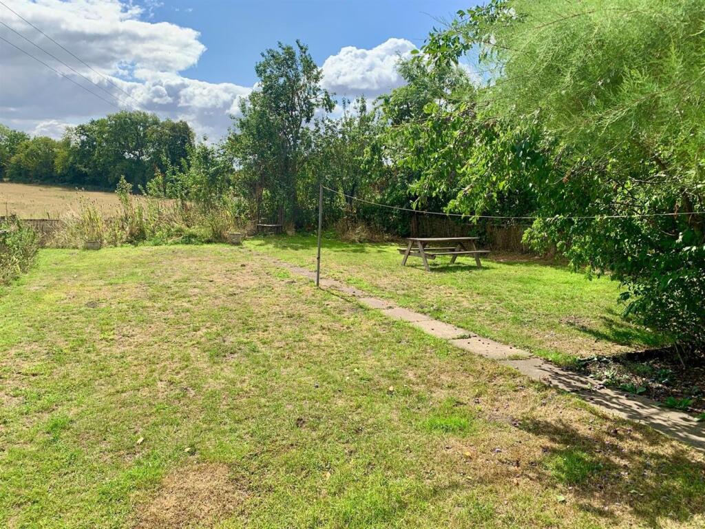 garden 1.jpg