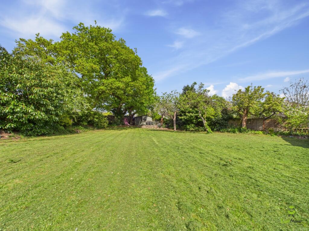 Nicoleta Aliman Ewemove Bexleyheath 