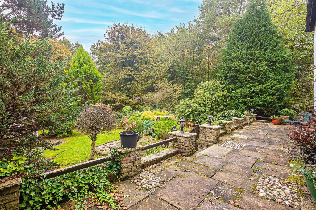 Terrace and garden