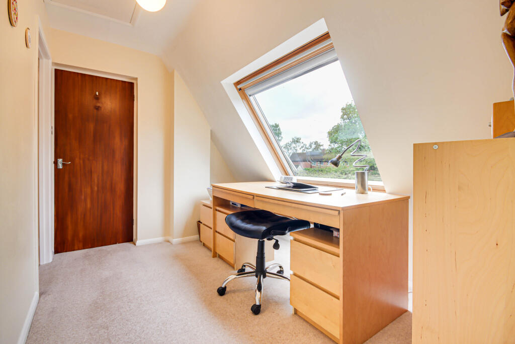Study area