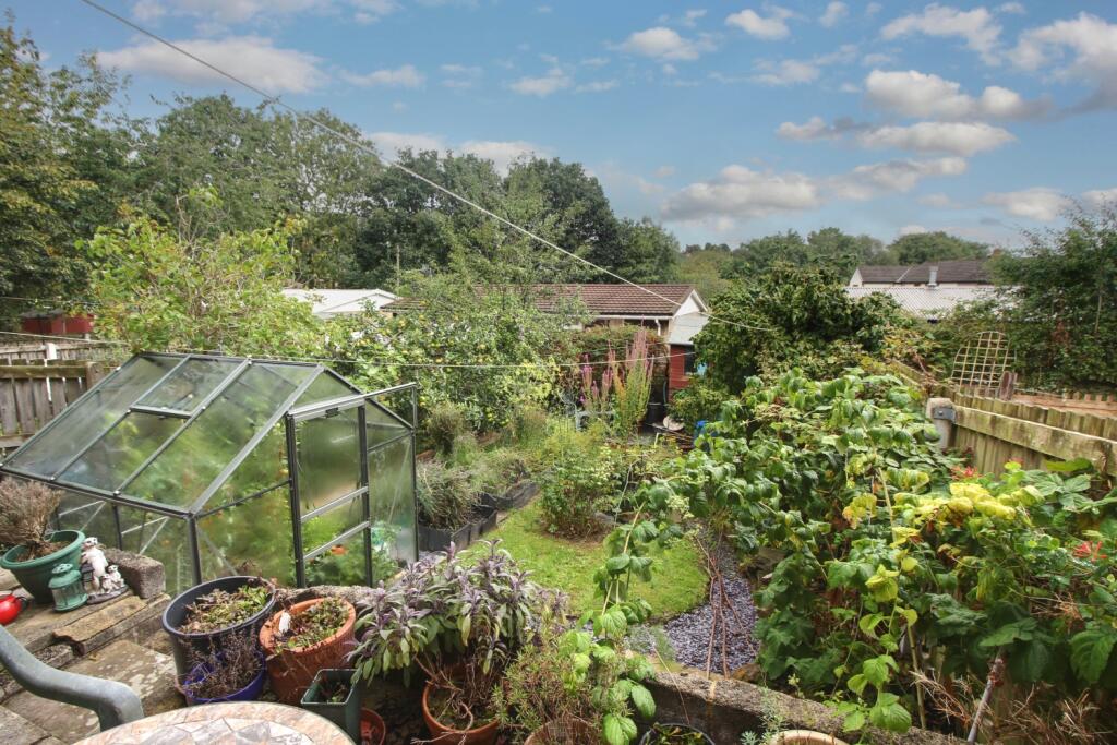 Back Garden