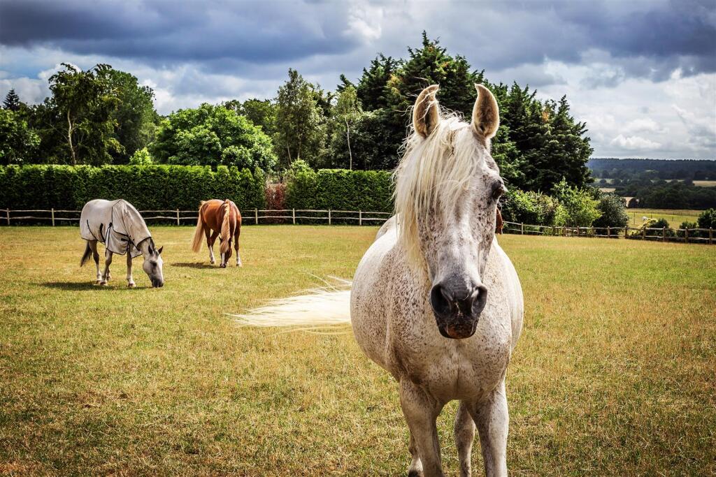 house. Partnership S