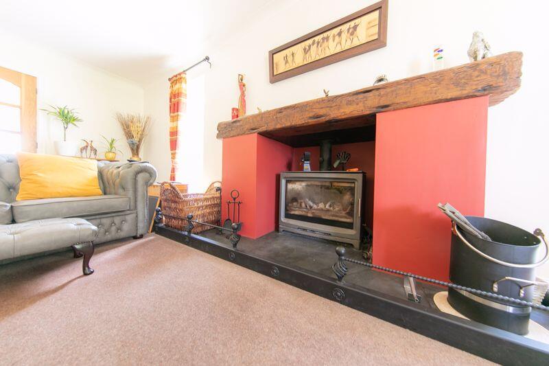 Log burning stove