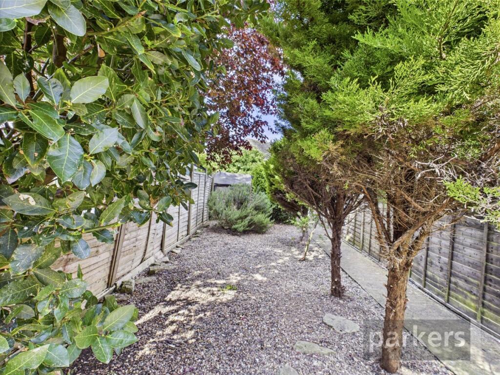 Patio Garden