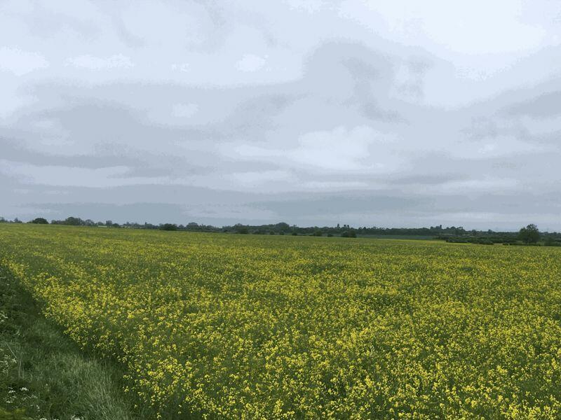 Photo 37