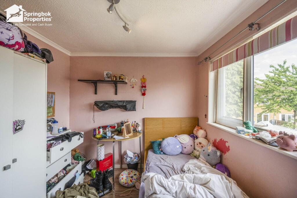IMAGE 10