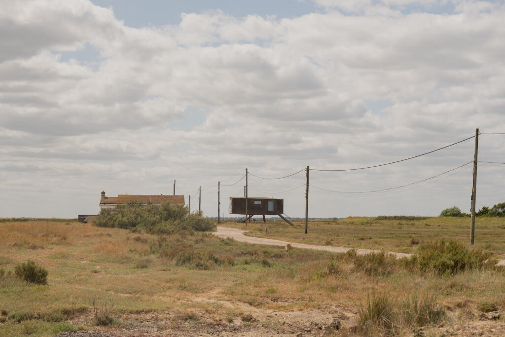 295251 - Redshanks, Lea on Sands-40.jpg