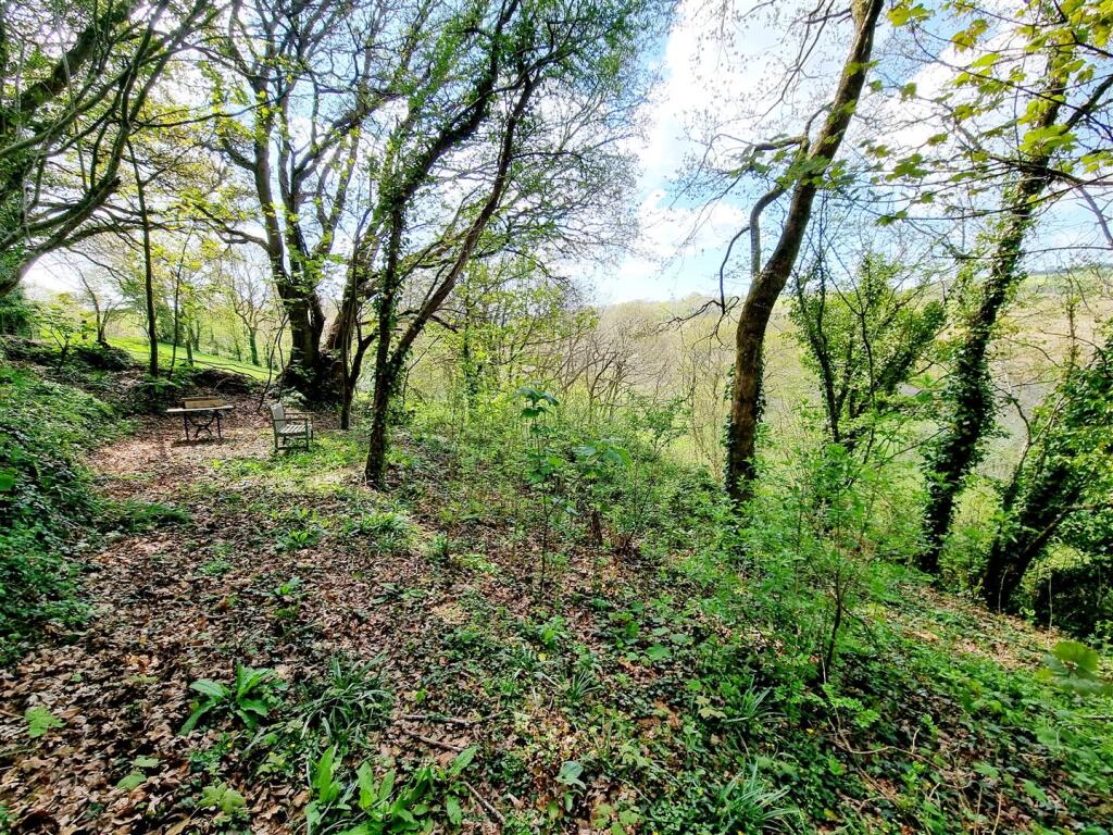 Copse 2