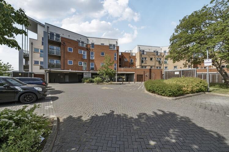 1295976 31 682c53338060a ARW