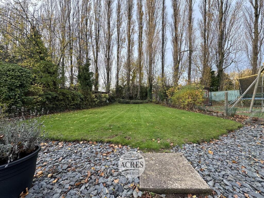 IMG_7243 (Large).jpg