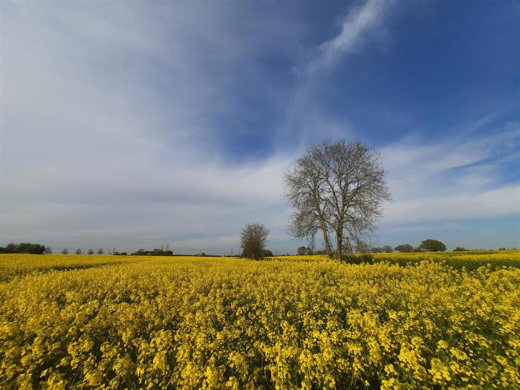 Woodland &amp; Surrounding Areas