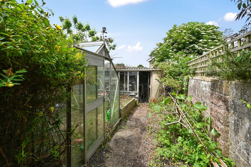 Rear Garden/Shed