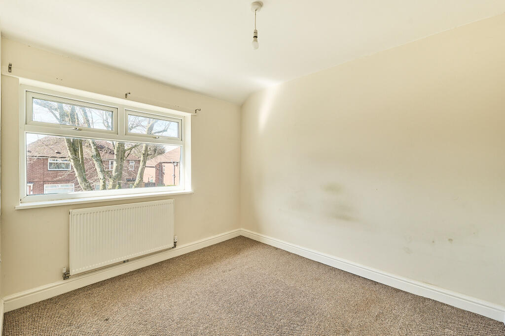 P1427740 HDR T202503271806.jpg