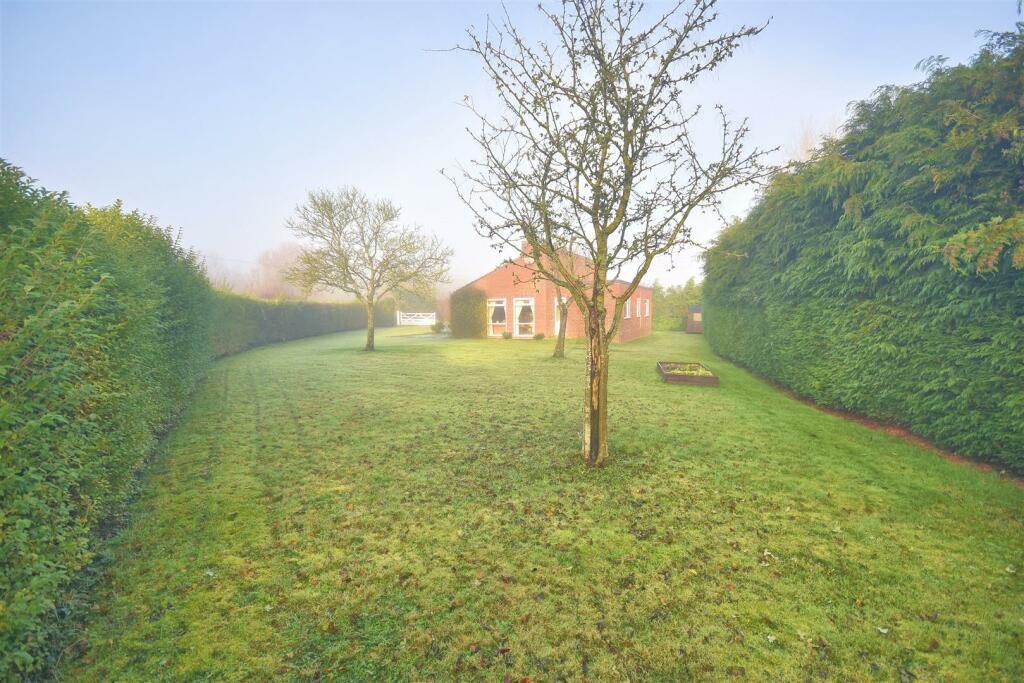 Garden.jpg