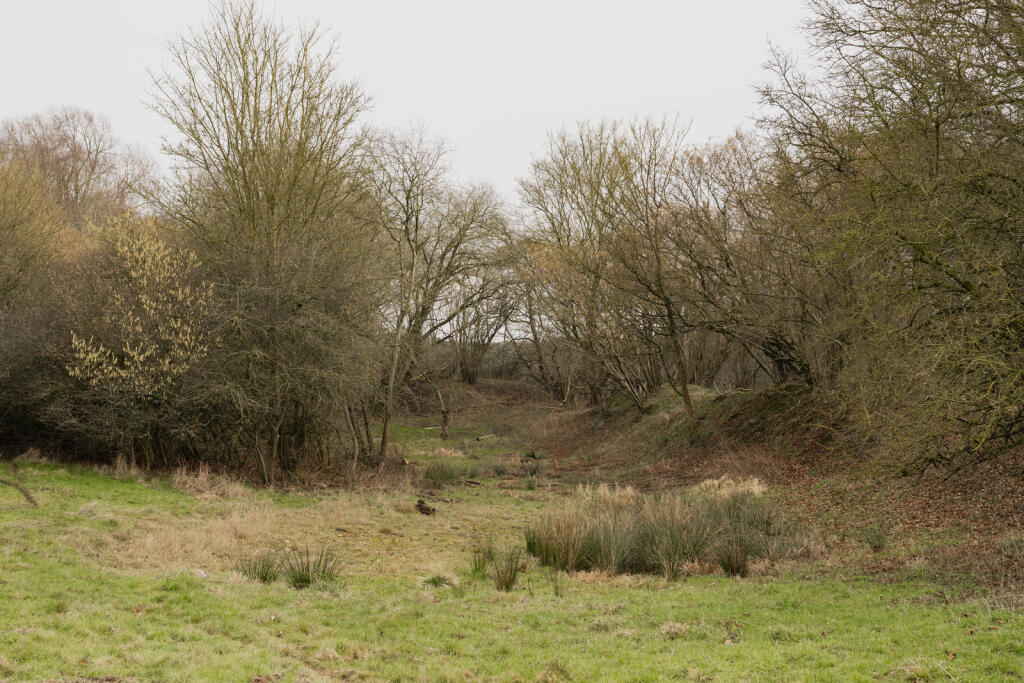 263702 - Pivot House, Reymerston-59.jpg