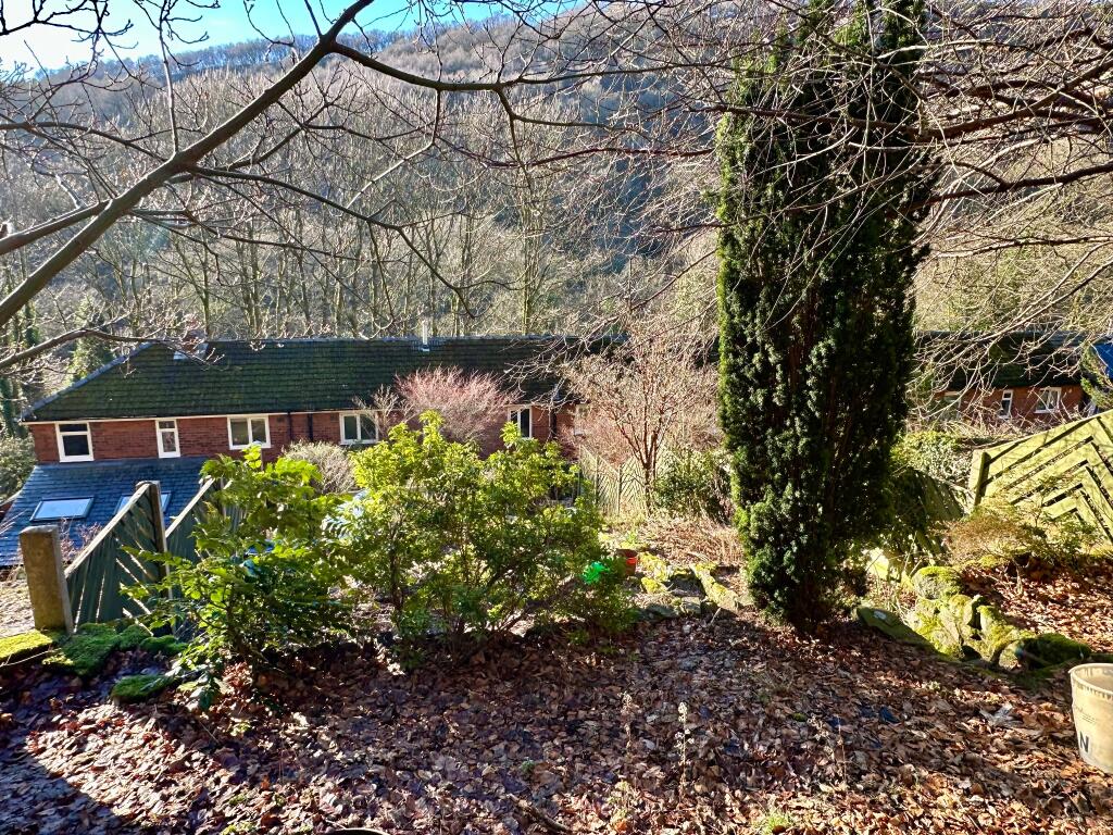 Photograph 26