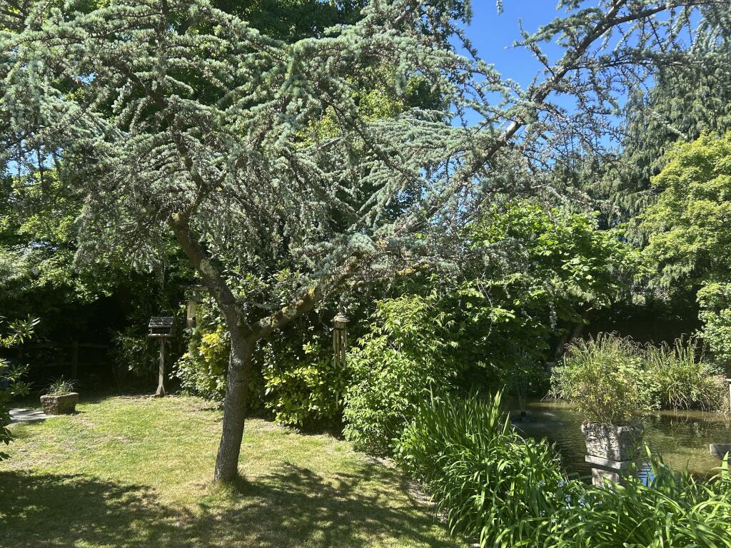 IMG_1053.jpeg
