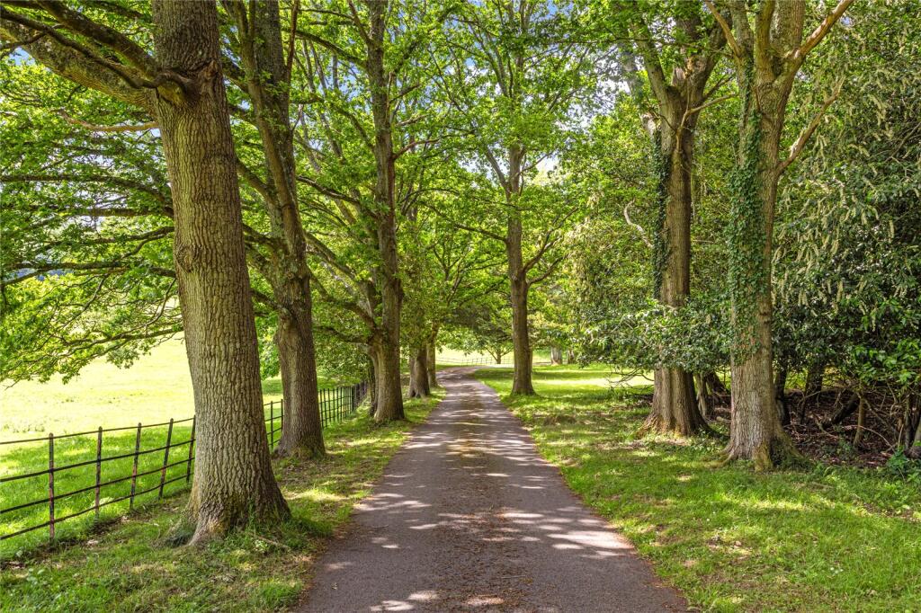 Picture No. 36
