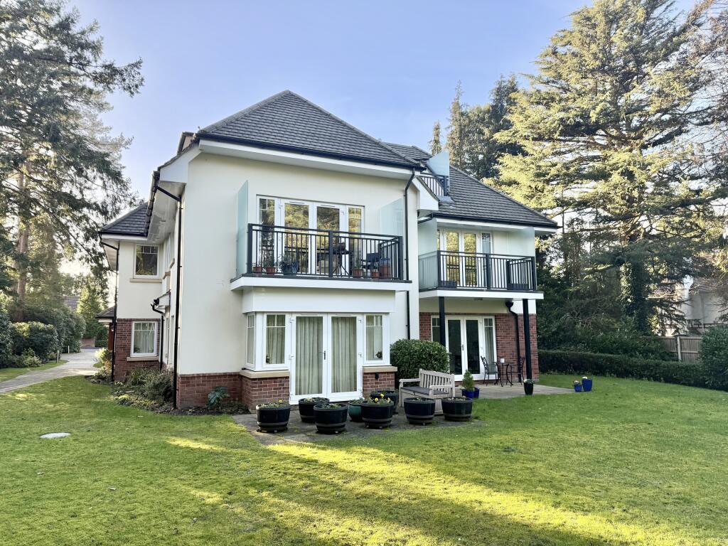 Rear Photo