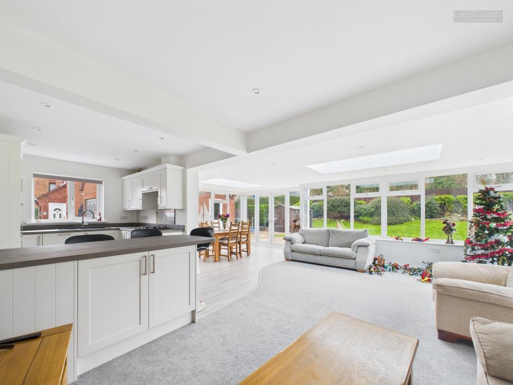 Kitchen/Living/Dining Room