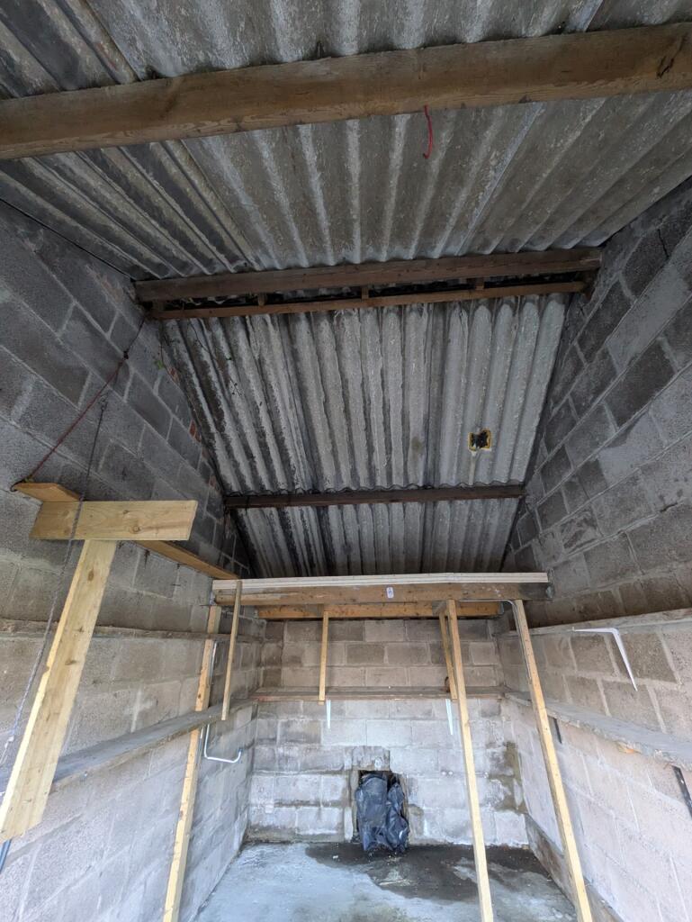 PXL_20250131_114738959.MP