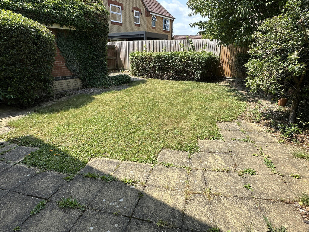 Garden 2.JPG