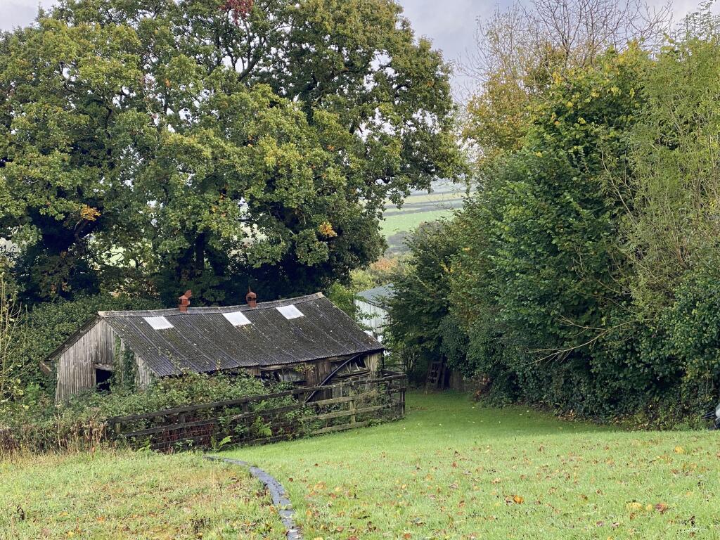 The Old Chicken Coop