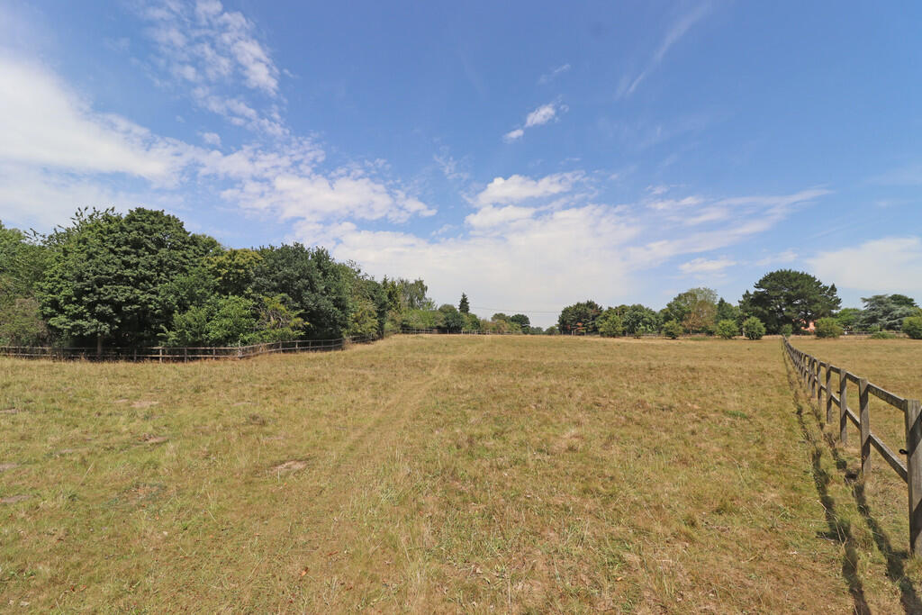 IMG_2247