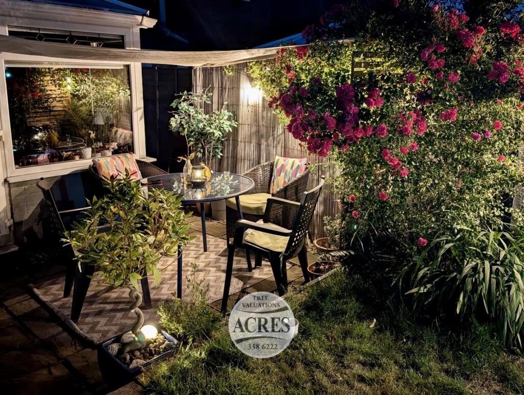 a931ddf2-5500-4843-836e-bbe7d3384f0b (Large).jpg