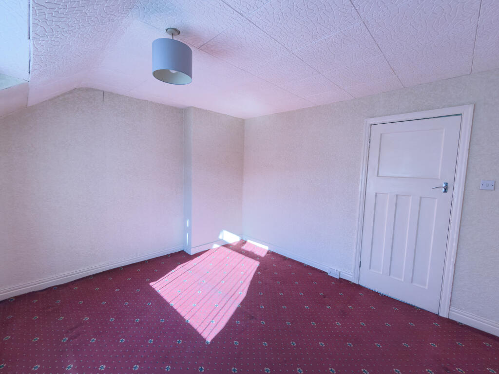 IMG 5148 T202509282048.jpg