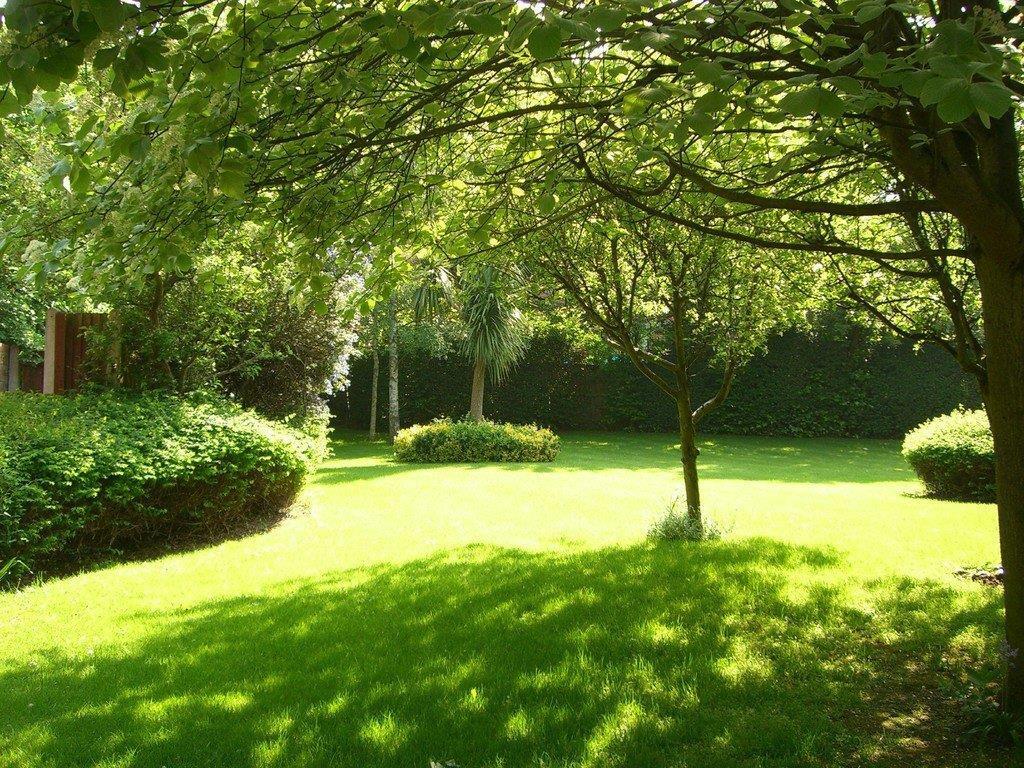 Greenwoods Garden.jpg