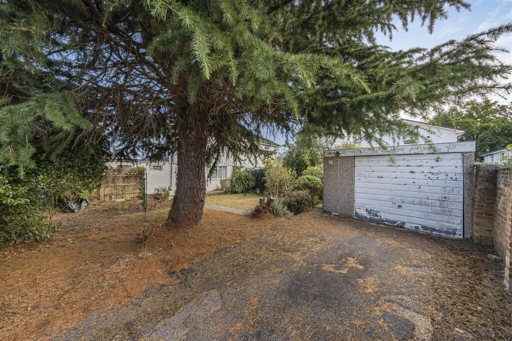 Photo Aug 05 2025, 8 52 58 AM.jpg