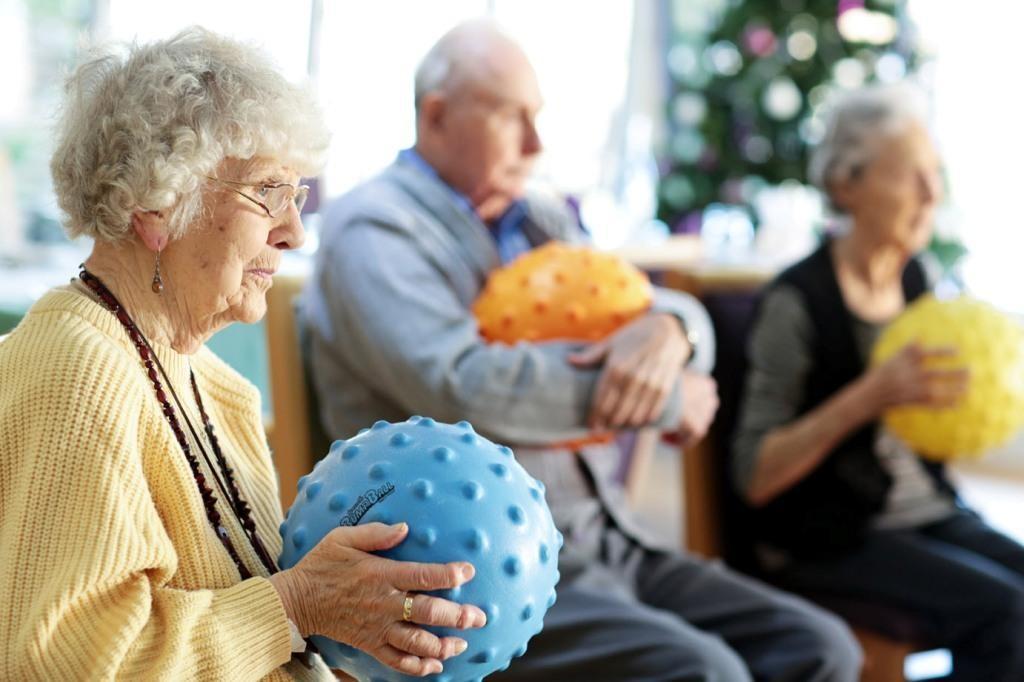 Activities programme