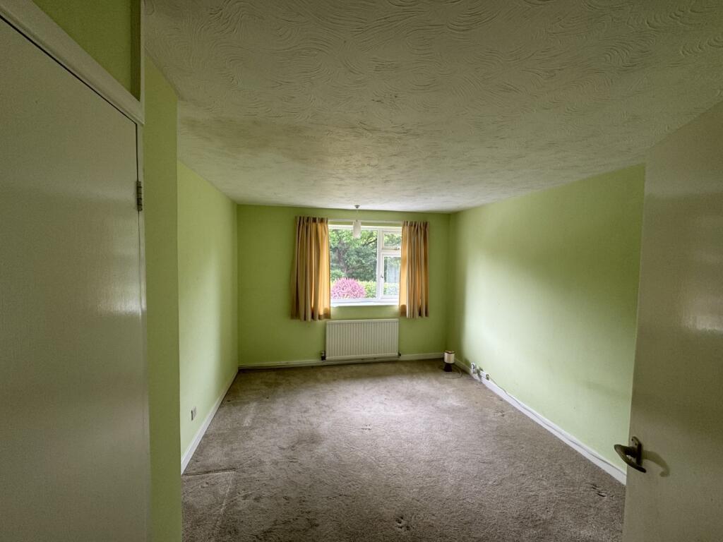 IMG 0402 T202506101535.jpg