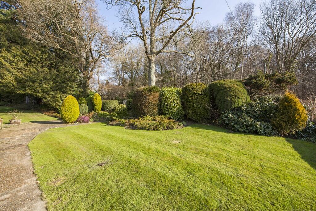 Garden 3