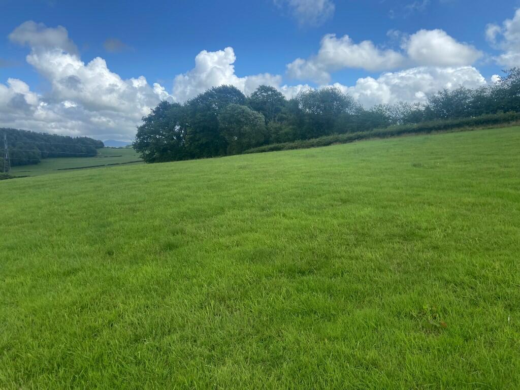 Land