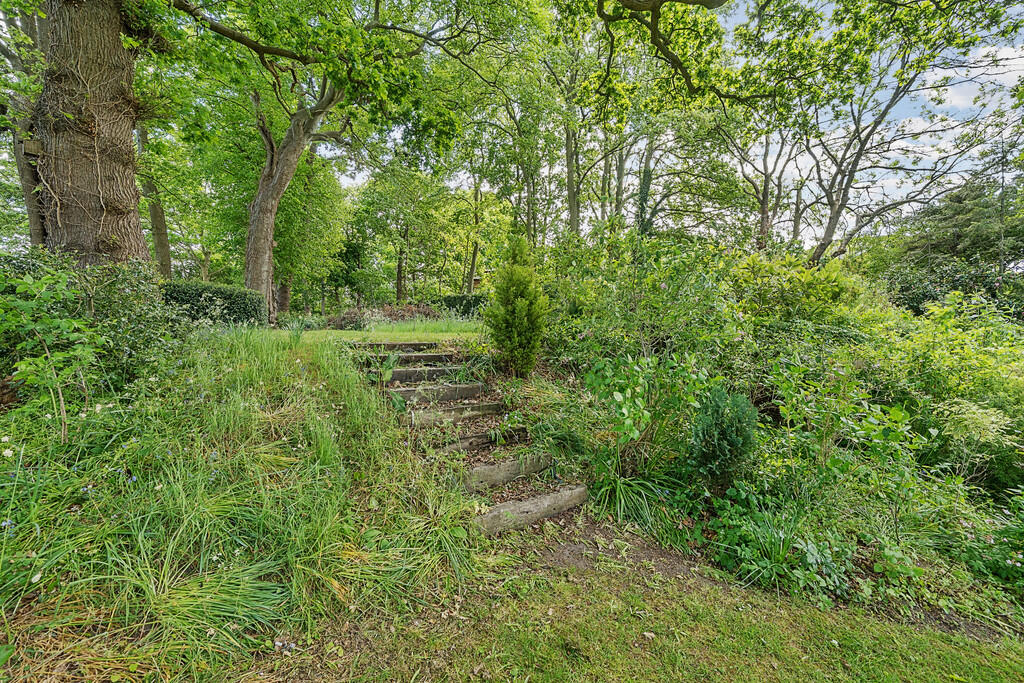 1294944-3-682f570...