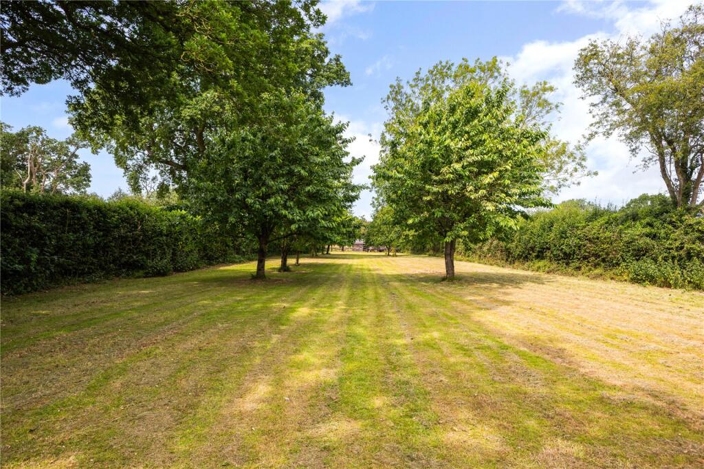 Orchard