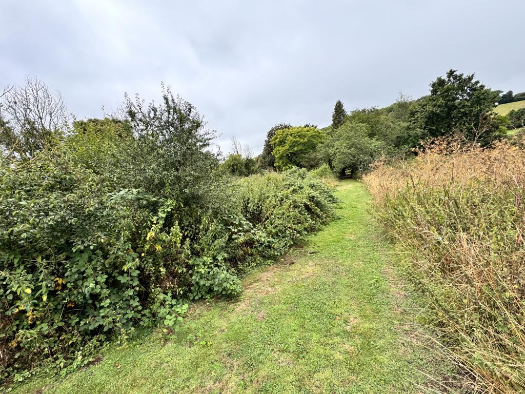 IMG 5787 T202408151053.jpeg