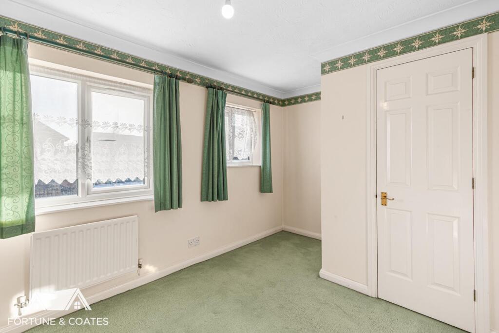 SheldonClose_6.jpg