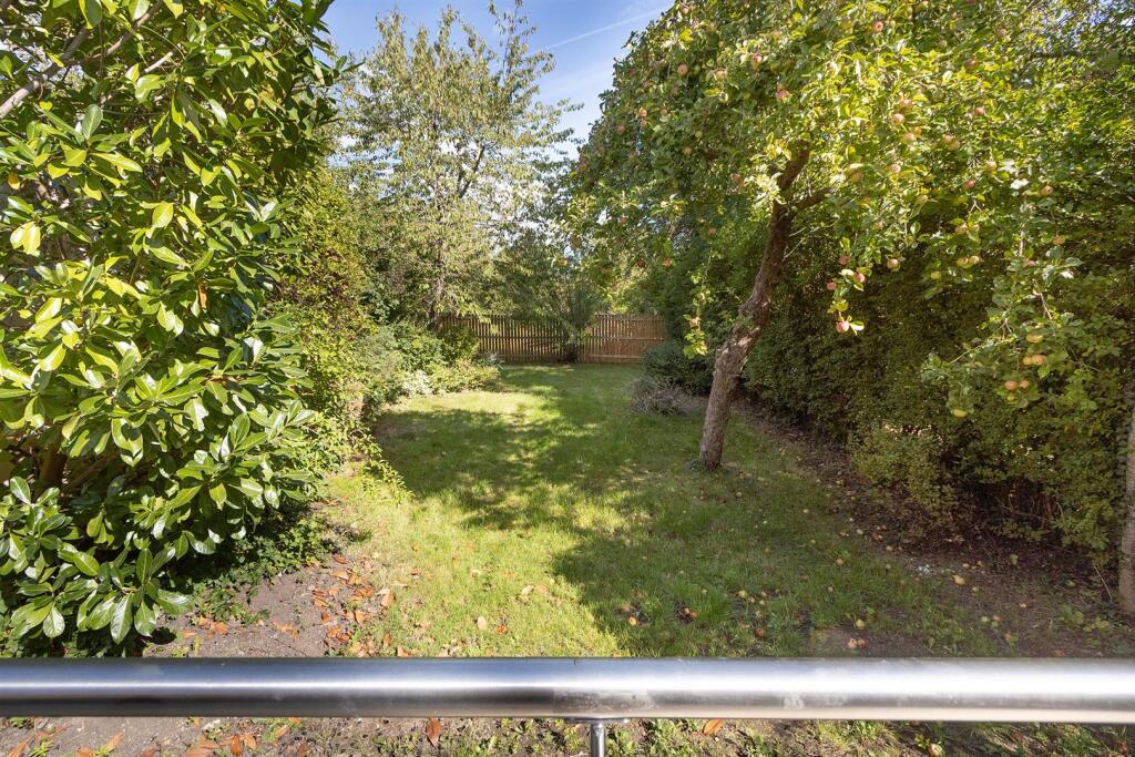 407A1977 - Copy (2).jpg