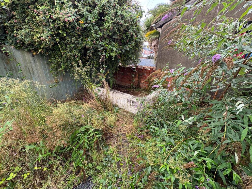 2cdc93ec-425f-44d8-965b-fea0e9f7f75a T202509221148.jpg