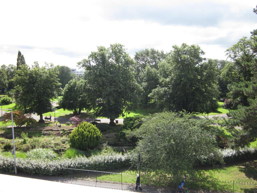 Photograph 7