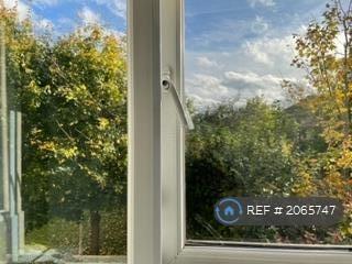 View From The Window